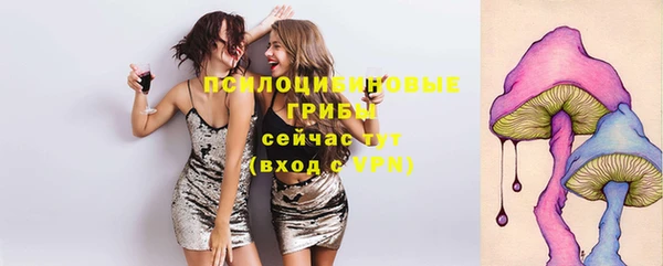 амф Пестово