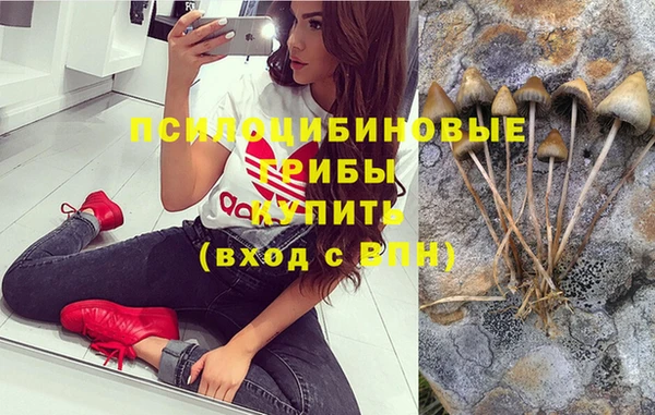 кокс Бородино