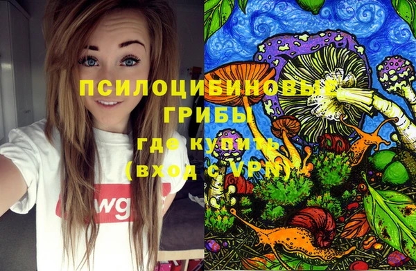 кокс Бородино