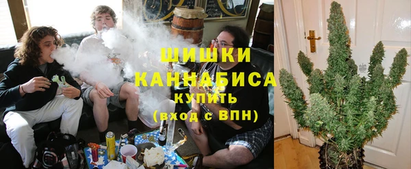 кокс Бородино